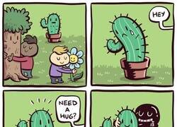 Enlace a Siempre va a haber alguien a quien le gustes