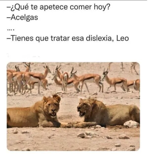 Meme_otros - El león disléxico