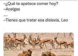 Enlace a El león disléxico