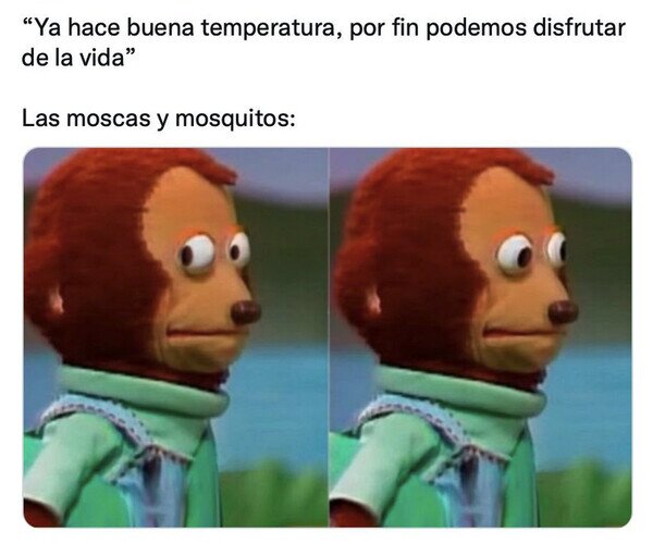 Otros - Cuando no es una cosa, es la otra