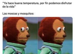 Enlace a Cuando no es una cosa, es la otra