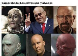 Enlace a Ellos no tienen pelo ni yo dudas