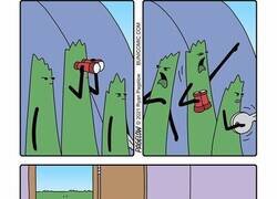 Enlace a Algún día el césped se tomará su venganza