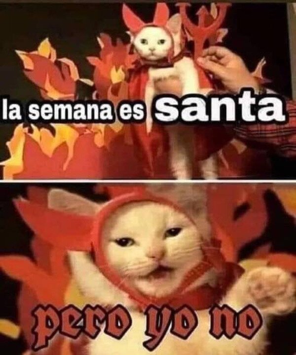 Meme_otros - Yo estas vacaciones