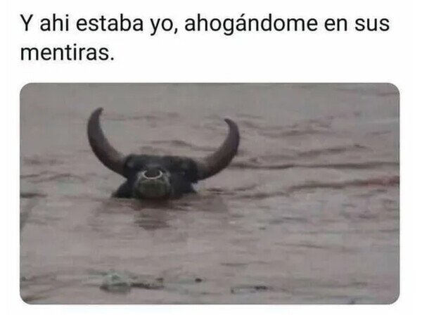 Otros - Cornudo con el agua al cuello