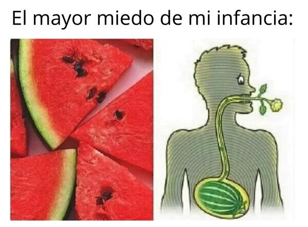 semilla,sandía,estómago,crecer,dentro,niño,miedo