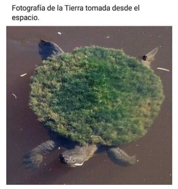 Otros - No tengo pruebas, pero tampoco dudas