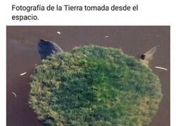 Enlace a No tengo pruebas, pero tampoco dudas