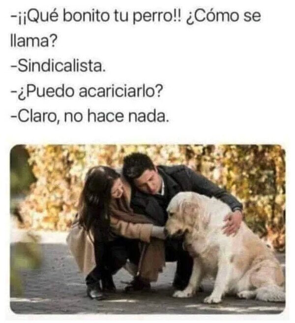 Meme_otros - No hay de qué temer