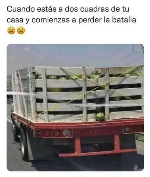 Meme_otros - No aguanto, no aguanto...