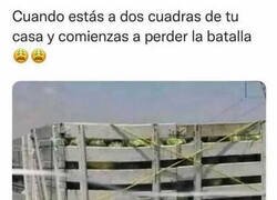 Enlace a No aguanto, no aguanto...