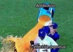 Enlace a Es peor el remedio que la enfermedad