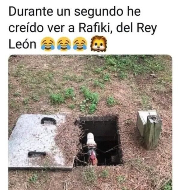 Meme_otros - Rafiki, ¿eres tú?