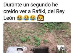 Enlace a Rafiki, ¿eres tú?