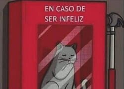 Enlace a Necesito uno de estos