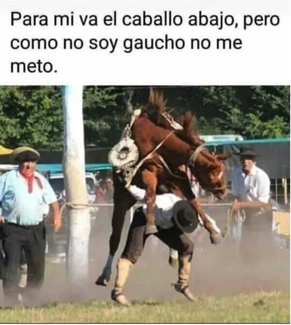 Meme_otros - No soy experto, pero...