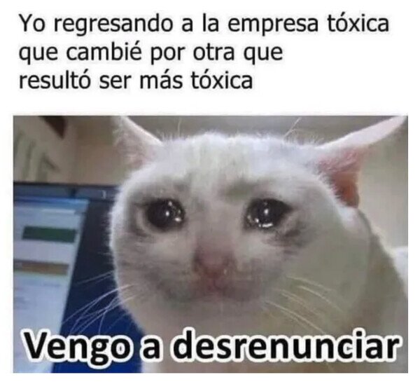 Otros - ¿Es aquí para bajarse los pantalones?