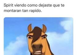 Enlace a Ni los caballos se dejan con tanta facilidad