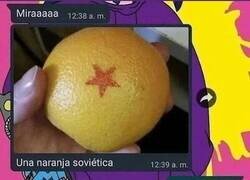 Enlace a No pensamos igual