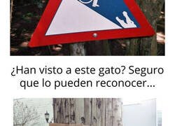 Enlace a Carteles y señales realmente extraños