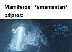 Enlace a Directamente de su boca