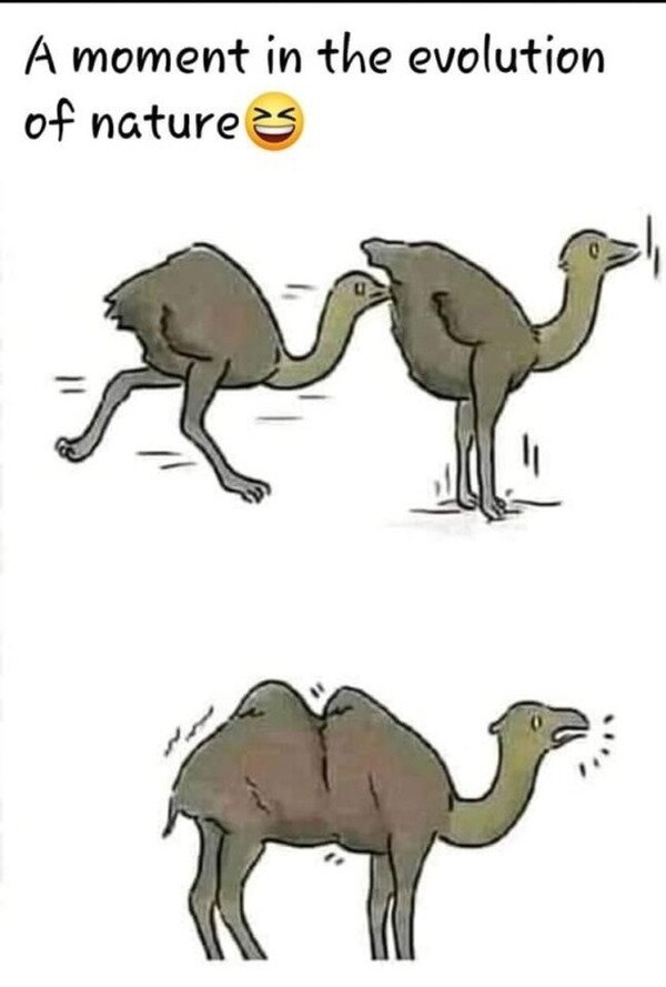 Meme_otros - El milagro de la naturaleza