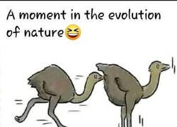 Enlace a El milagro de la naturaleza