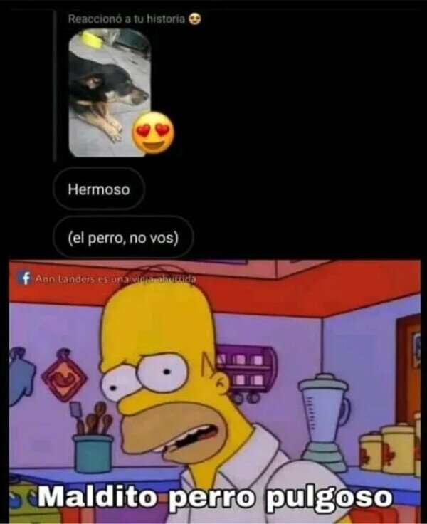 Meme_otros - El perro se lleva más halagos que yo