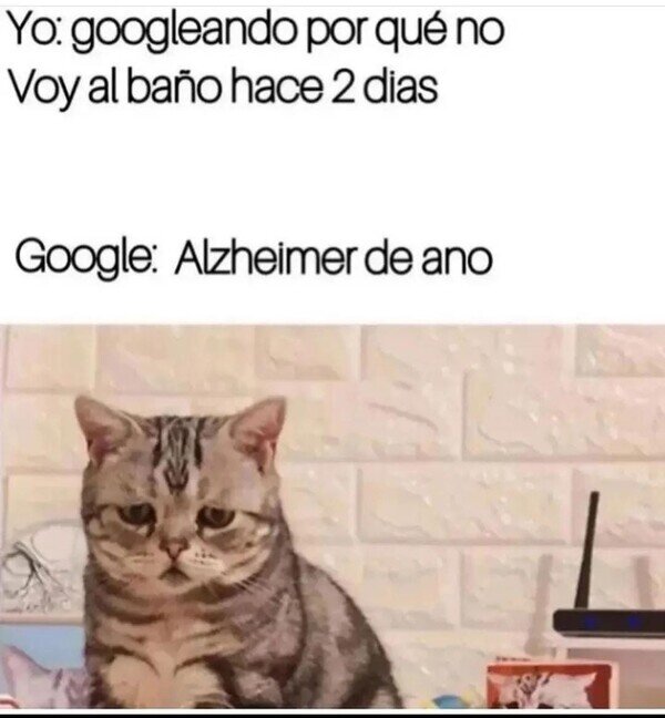Meme_otros - Para qué buscaré nada...