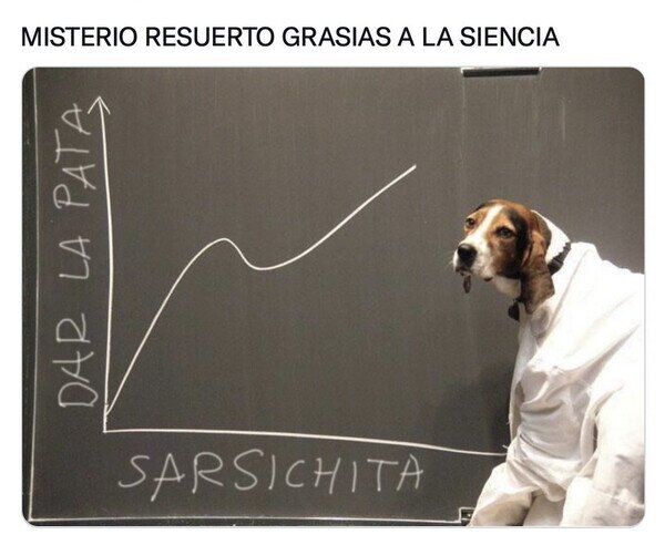 Otros - La ciencia dio con la clave
