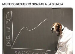 Enlace a La ciencia dio con la clave