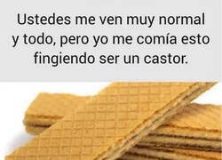 Enlace a Y el que no lo hiciera no es de fiar