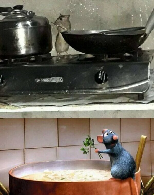 Meme_otros - ¡Es él!