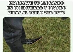 Enlace a Te anima la tarde