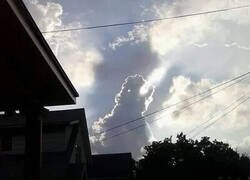 Enlace a ¿Estáis viendo lo mismo que yo?