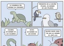 Enlace a En representación