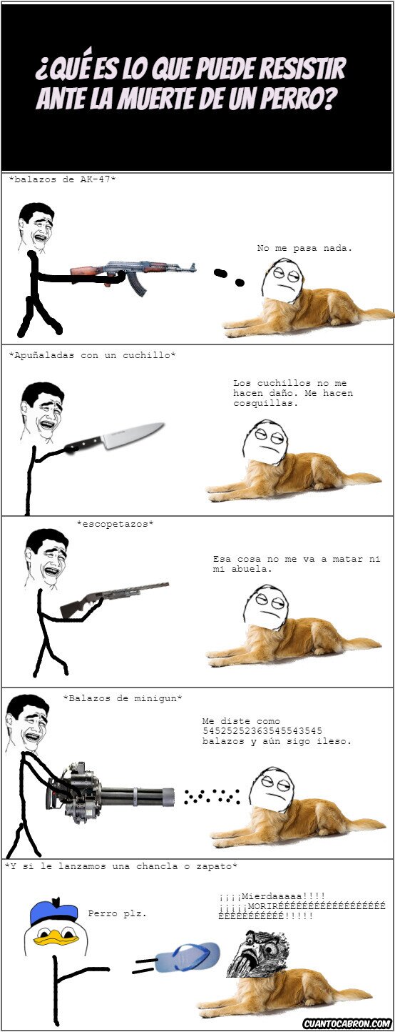 Dolan - ¿Cúanto resite el perro?