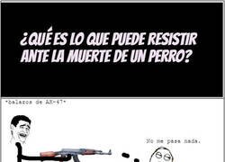 Enlace a ¿Cúanto resite el perro?