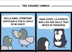 Enlace a Diferentes especies intentando aparearse