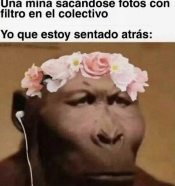 Meme_otros - No me lo esperaba