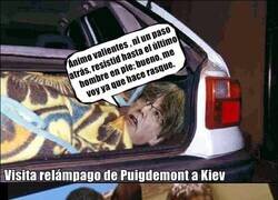 Enlace a Podría pasar... jajaja jajaja, no.