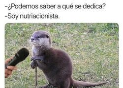 Enlace a El oficio de las nutrias