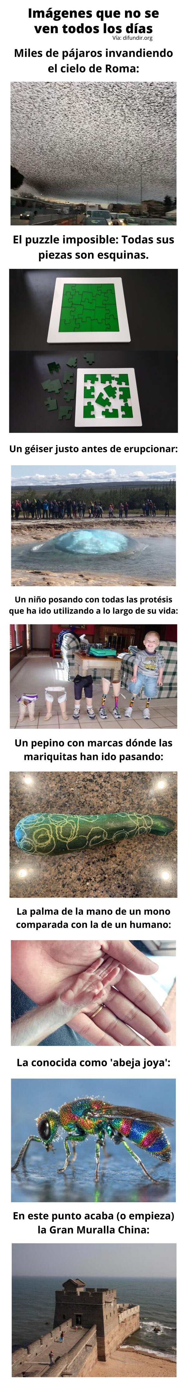 Meme_otros - Imágenes que no se ven todos los días