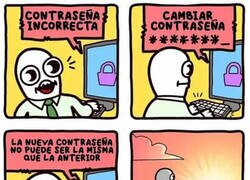 Enlace a ¿Y ahora qué?