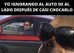 Enlace a Solo mirada al frente