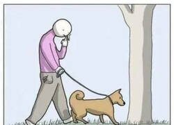 Enlace a Lo que debería ocurrir en estos casos