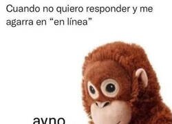 Enlace a Ya me han visto conectado...