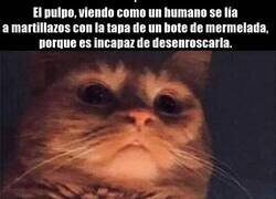 Enlace a Están más evolucionados que nosotros...