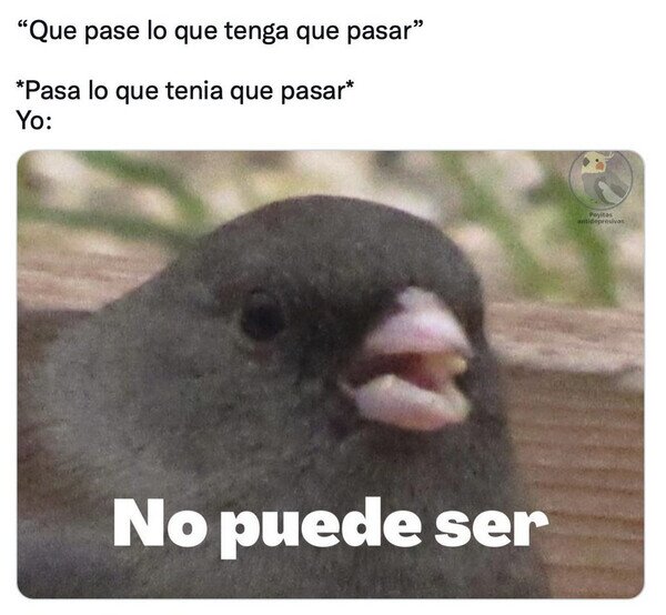 Otros - Aún así me pilla por sorpresa