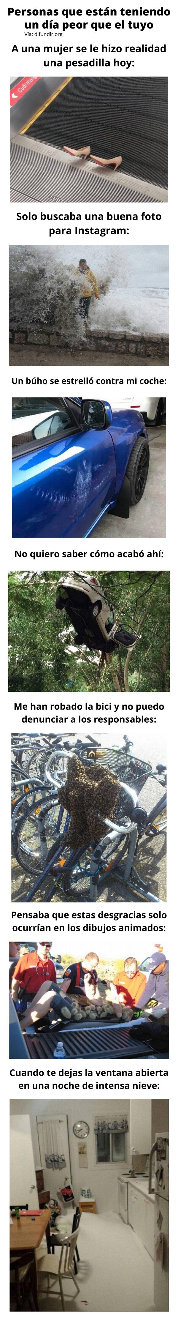 Meme_otros - Personas que están teniendo un día peor que el tuyo